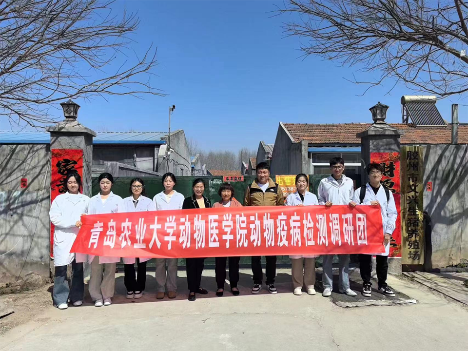 yl23455永利官网