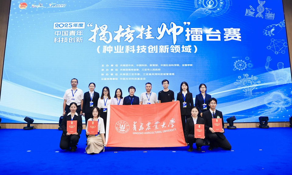 yl23455永利官网